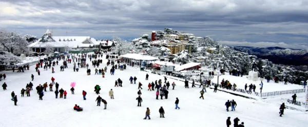 Shimla Manali Package: Rs. 10,999/- Per Person